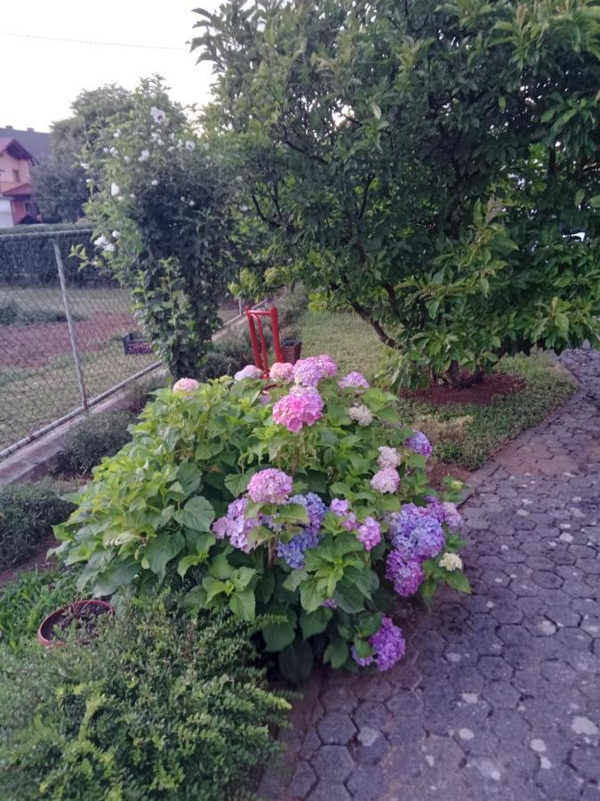 Apartman Bepo Gospić المظهر الخارجي الصورة